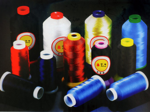 Portfolio 1